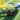 SUPIDO MULTI SPORTS SPEED RADAR outdoors