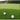 InSwing Premium Putting Grass Per Linear Metre